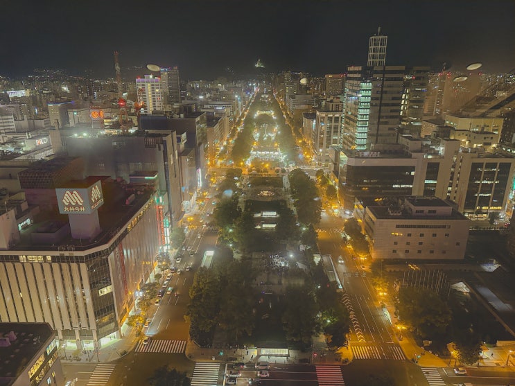 삿포로 (4) :: 삿포로 TV 타워 전망대, 가을 오도리 공원