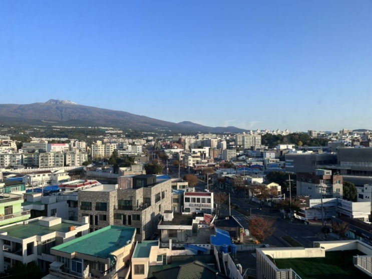  제주 서귀포 교캉스! '호텔골든데이지'