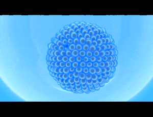  3D organoid culture 만드는 방법이 쉬워졌다!