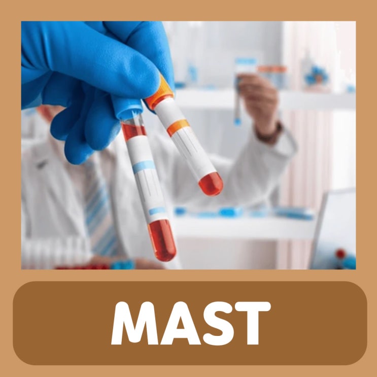  MAST 검사 실비 알레르기 검사 아기 유아 알러지 알레르기 검사