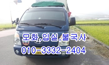 외동 입실 모화용달 울릉도 불국사 양북 제주도 산내 건천 양남 감포. 외동 입실 모화용달 울릉도 불국사 양북 제주도 산내 건천 양남 감포.