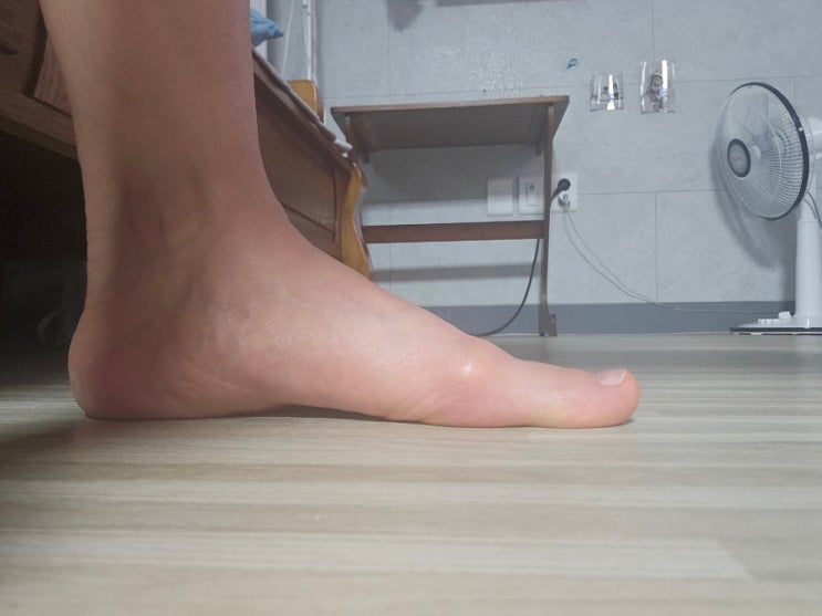  새로운 운동