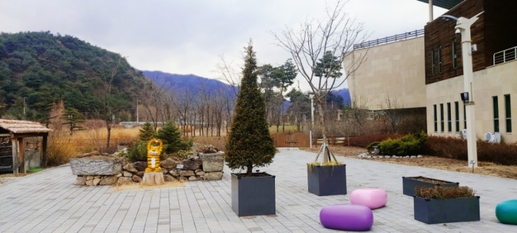  웰니스 여행, 봉화 국립백두대간수목원, 1일 차 아로마 테라피, 싱잉볼 명상