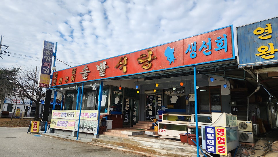 솔밭식당 사진 3