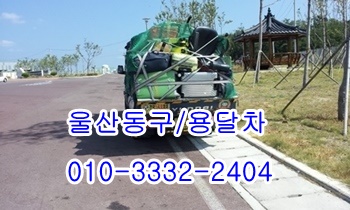 울산동구용달 방어진 울릉도 불국사 입실 모화 제주도 정자 주전. 울산동구용달 방어진 울릉도 불국사 입실 모화 제주도 정자 주전.