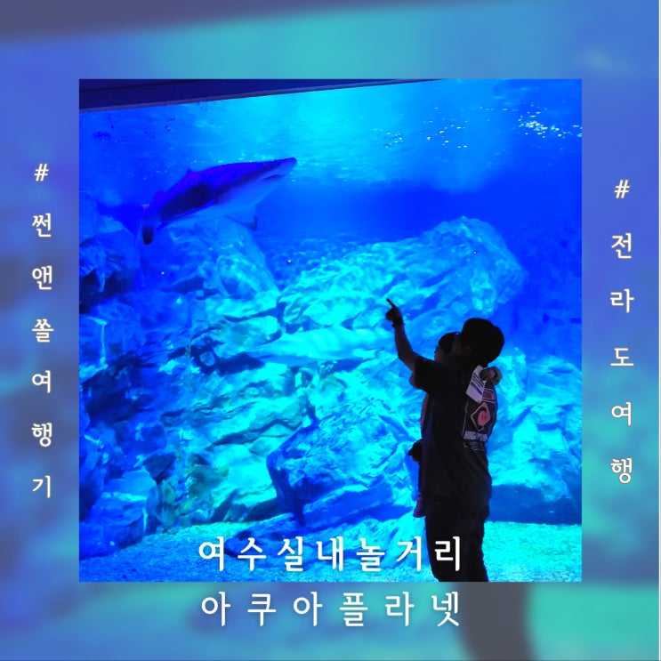 여수실내놀거리 아쿠아플라넷 아이랑 데이트코스 추천
