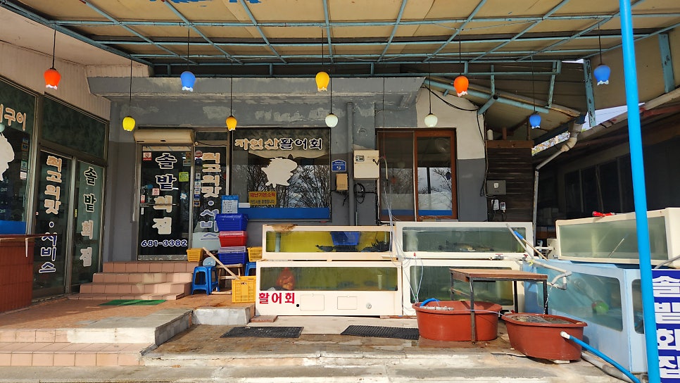 솔밭식당 사진 4