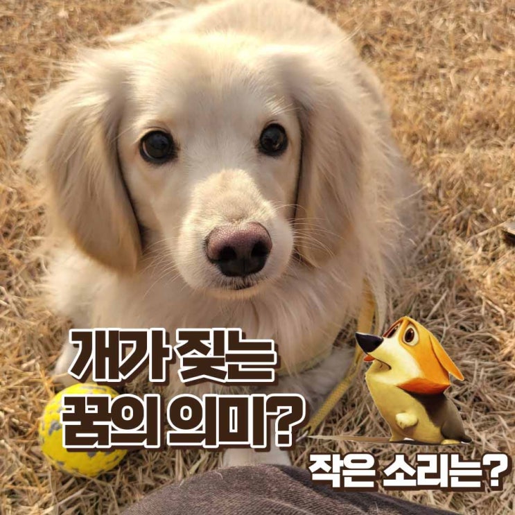  개가 짖는 꿈 개가 짖는 소리가 작다면 무슨의미 일까?