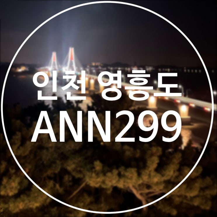  [인천/영흥도] ANN299 / 영흥도 사계절 온수풀 풀빌라 펜션