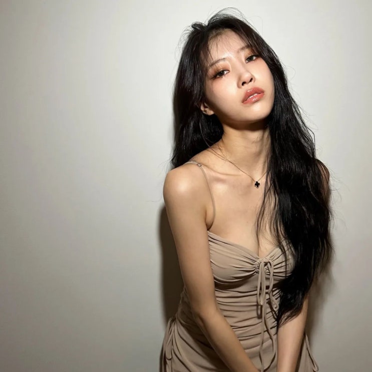이미주 반클리프앤아펠 목걸이 가격 사이즈 등 정보 이미주 반클리프앤아펠 목걸이 가격 사이즈 등 정보
