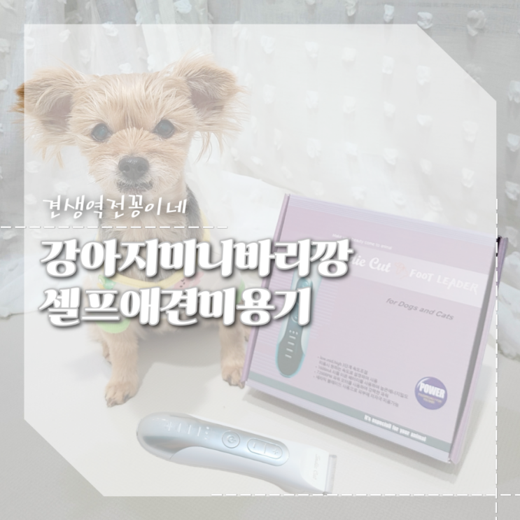  강아지 발바닥털 깍기 셀프위생미용 추천 미니바리깡 인디컷 애견미용기 후기