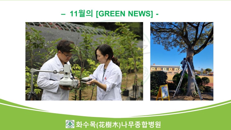  2023년 11월의 Green News 모음