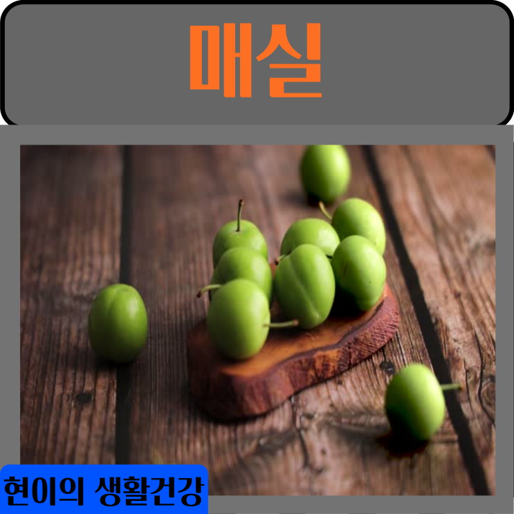  매실 효능 매실청 매실차 부작용 칼로리