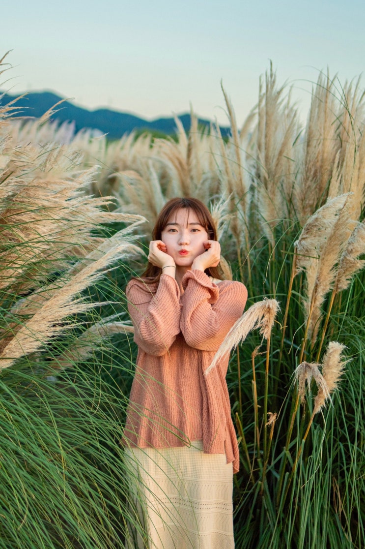  23.09.29. 대저 생태공원 팜파스 갈대 노을 출사