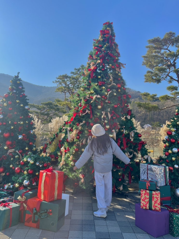  [강화도여행 필수 코스] 강화 씨사이드리조트 루지타기