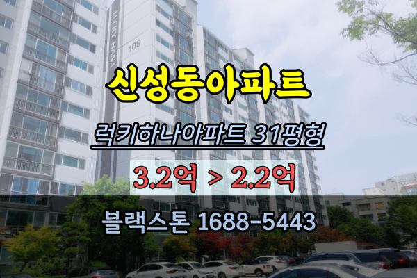  신성동아파트 경매 럭키하나아파트 유성구30평대 매매
