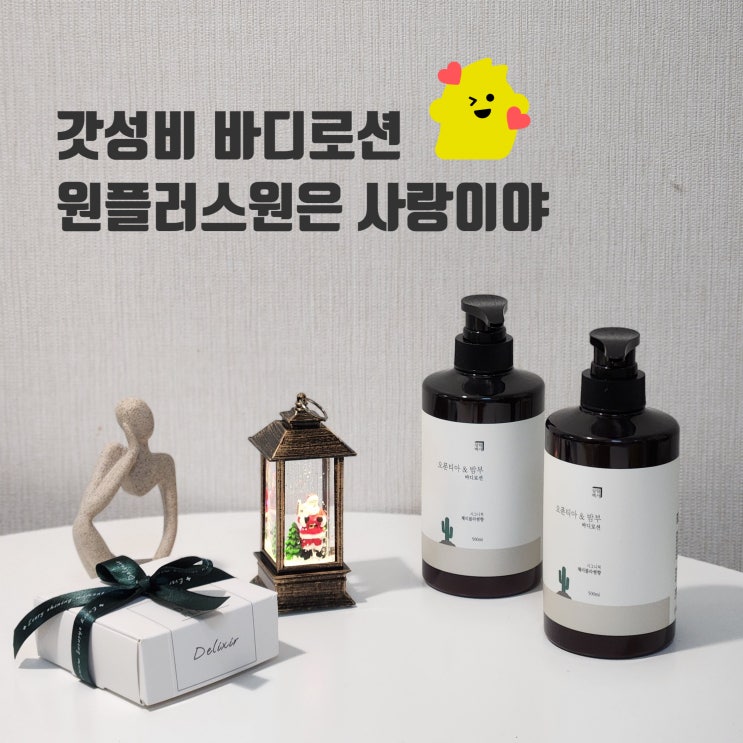  겨울 바디로션 추천 가성비 살림백서 원플러스원 만원대
