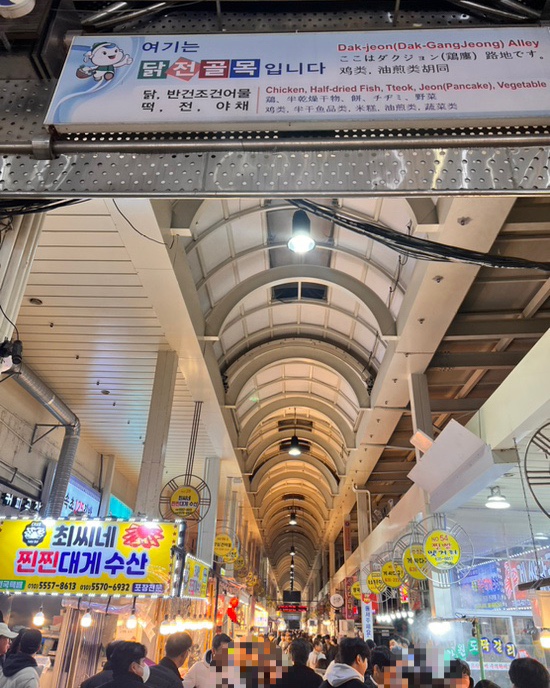  속초 가볼만한곳 속초여행 대포항 속초아이 속초맛집 속초횟집 모녀가리비 누룽지오징어순대 설악산뷰 속초카페 여행지추천