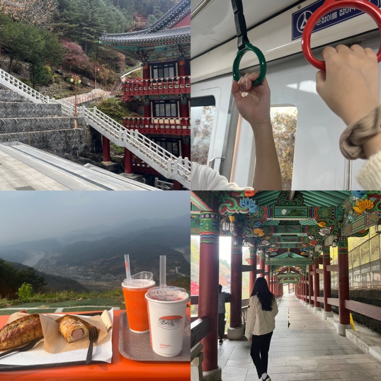  제천 & 단양 1박 2일 여행 코스 2일차  가을 냄새 폴폴 힐링여행 