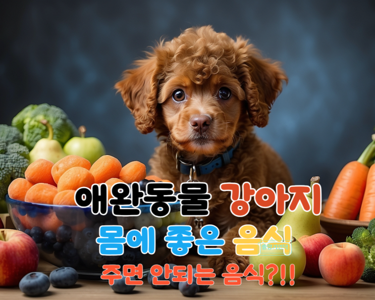  애완견 강아지 딸기 사과 귤 고구마 블루베리