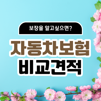  자동차보험 조회 혜택 및 자차보험보험료할증 정보 간단하게 살펴보자!