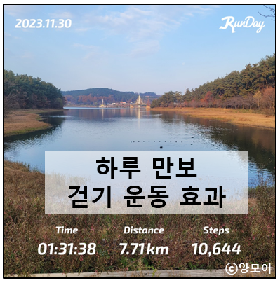  하루 만보 걷기 운동 효과에 대해, 23주차 운동 기록