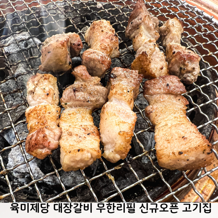 육미제당 대장갈비 미사 무한리필 신규오픈한 배터지는 고기집