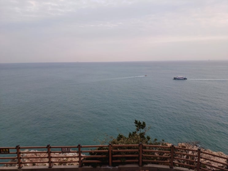  채권추심 차용증/지불각서/현금보관증