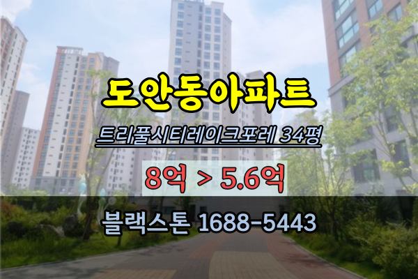  트리풀시티레이크포레 경매 34평 도안동 대장아파트