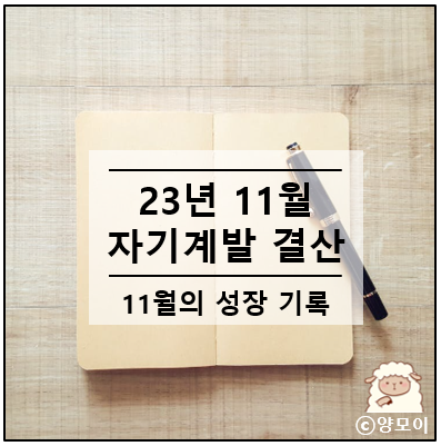  스불재 스스로 불러온 재앙에서 벗어나기 11월 자기계발 결산