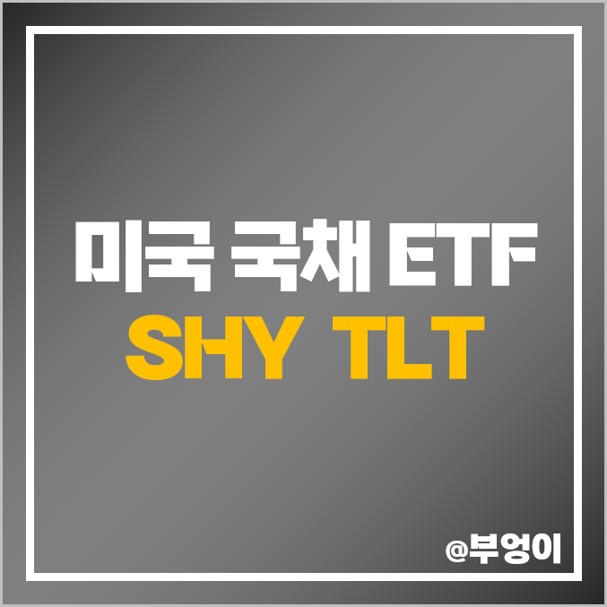 미국 국채 투자 방법 월배당 ETF TLT SHY 배당 채권형 펀드