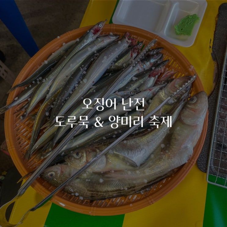  [속초]동명항 맛집 오징어난전 / 도루묵&양미리 축제 / 가격