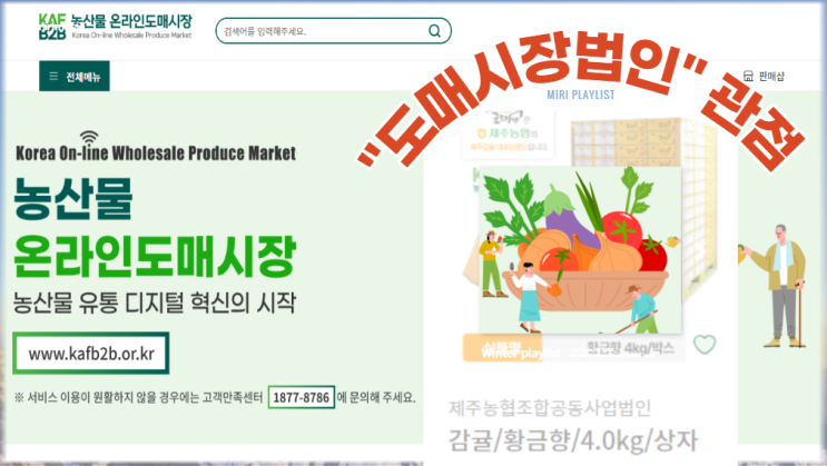 [도매시장법인] 관점에서의 농산물 온라인도매시장 이용하기