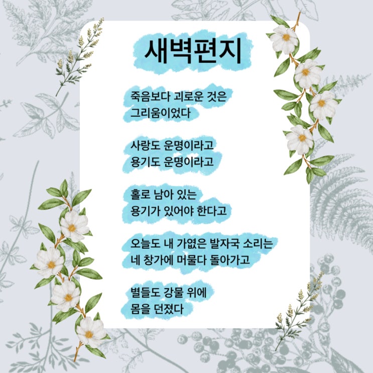 새벽편지 시 그리운 생각이 들 때 읽는 추천시 (ft. 꽃 지는 저녁, 정호승, 강병인 지음)