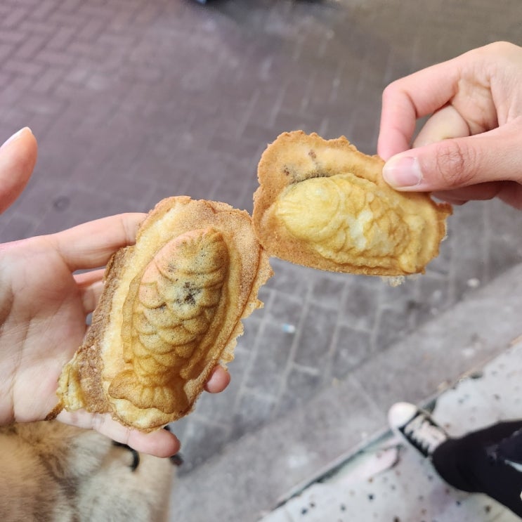 혜화역 대학로에 있는 혜화 미니 붕어빵, 수정붕어빵 5개에 천원!