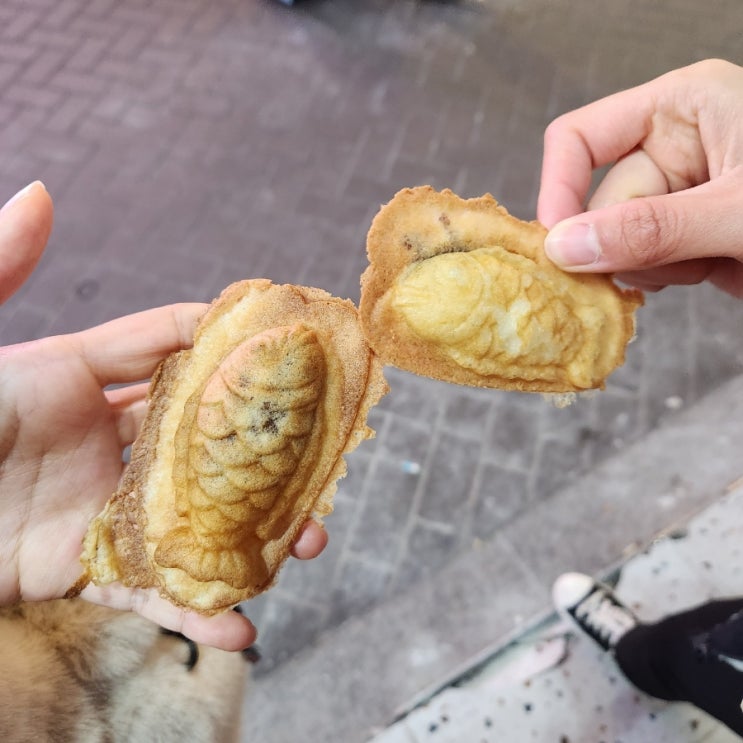  혜화역 대학로에 있는 혜화 미니 붕어빵, 수정붕어빵 5개에 천원!