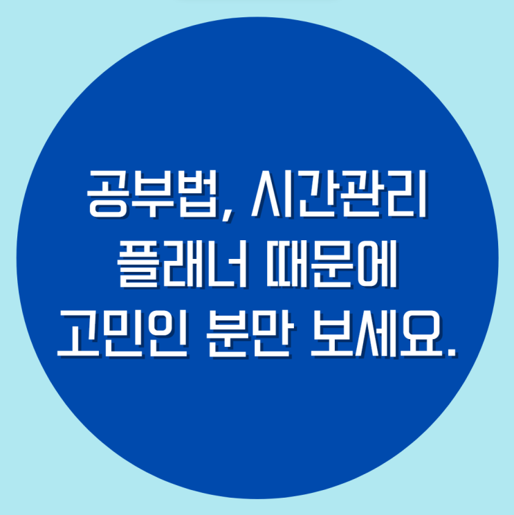  일산 자기주도학습 코칭 멘토 전과목 공부법 관리 일대일 함께 나아가는