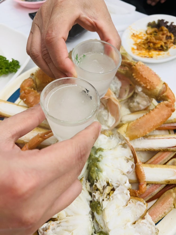  속초 맛집 / 대게와 활어회를 한번에 / 대포항 좋다게