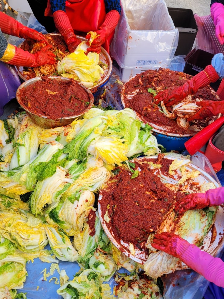  울진 후포에서 김장을 오리둥지 식당 김치맛집 잘먹겠습니다.