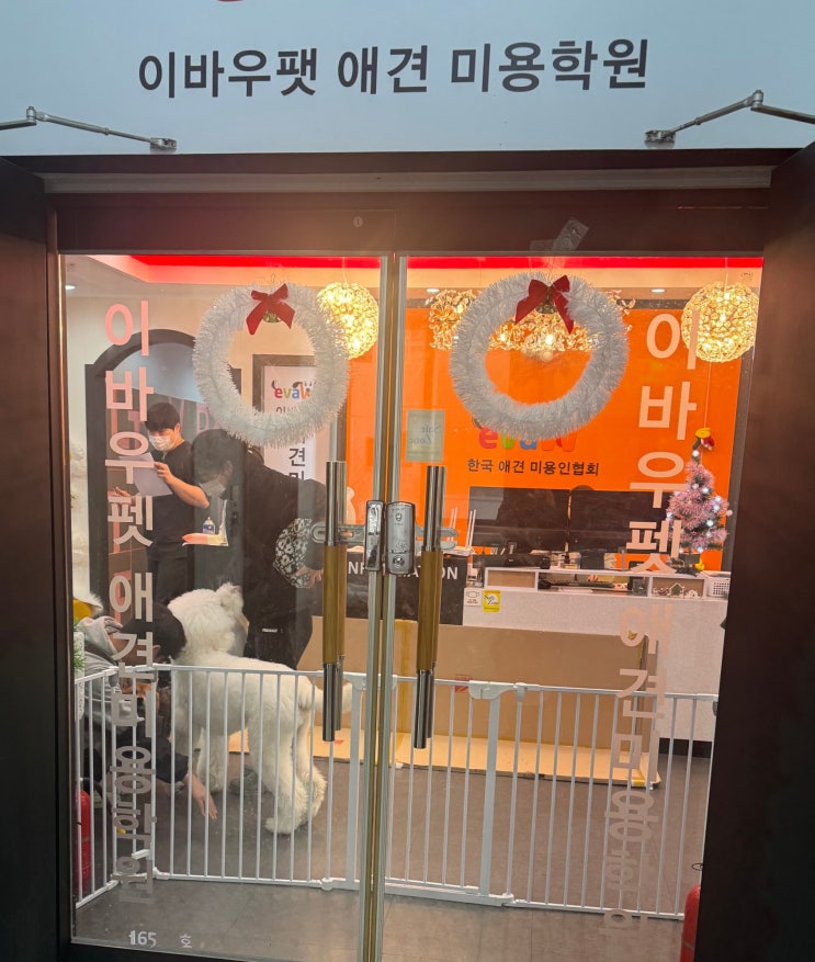  애견미용자격증학원 비용 대비 효율 생각해 봤어? 전문 애견미용사 되는 방법