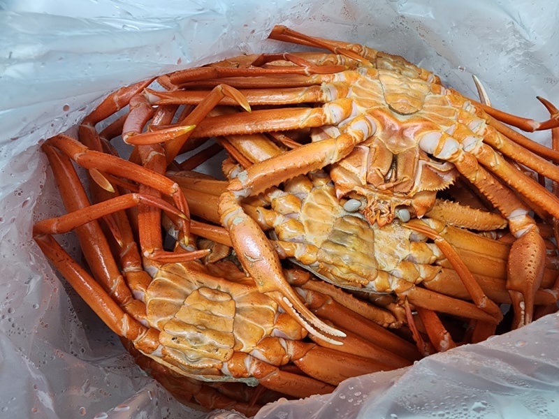 홍게 손질하는 방법, 게 껍질 버리는법(일반 쓰레기)