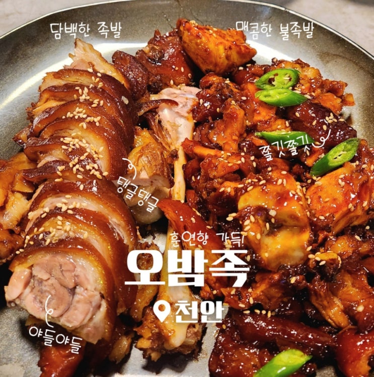 천안 신불당동 족발 맛집 오밤족 반반세트 후기