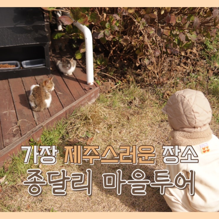  [제주] 가장 제주스러운 마을, 종달리 마을 투어 : 투어 어플 / 여행 지도 만들기 / 제주도 여행 추천 / 종달리투어