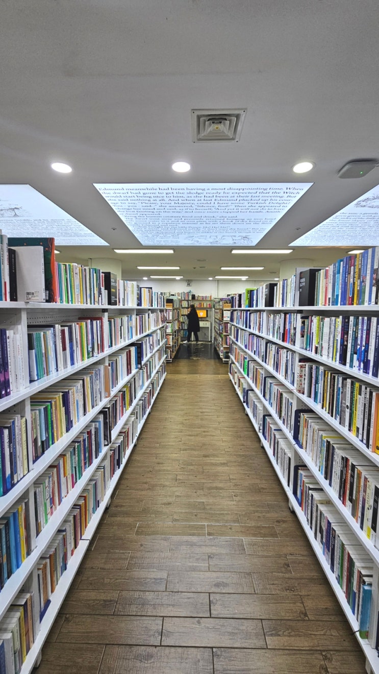  알라딘 중고서점 | 8호선 잠실역 지하철 안에 위치한 서점, 독특한 영문 천장과 통창 뷰가 좋은 책방