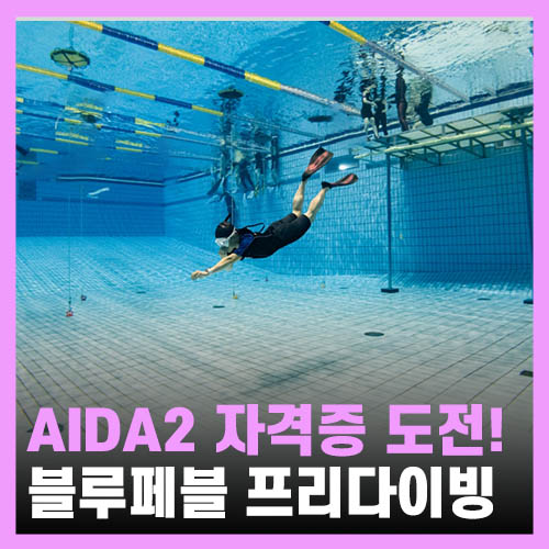  취미생활추천 서울 프리다이빙 강습 블루페블