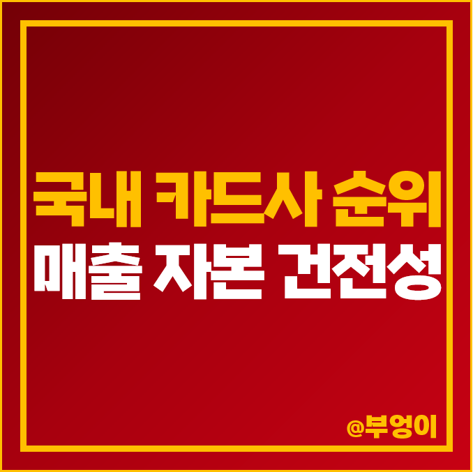 국내 카드사 순위 신용 카드회사 종류 건전성 직원수 국내 카드사 순위 신용 카드회사 종류 건전성 직원수