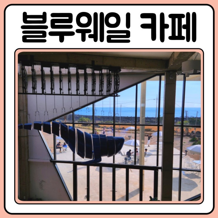  바다가보이는 서귀포 카페 블루웨일