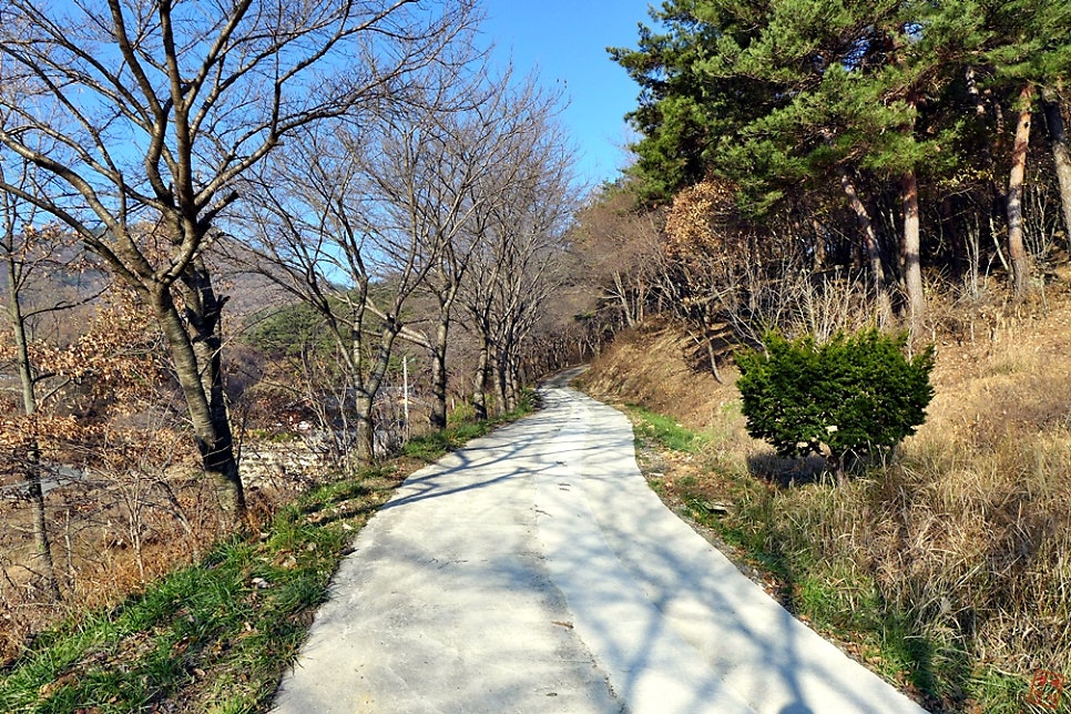 초롱산 사진 6