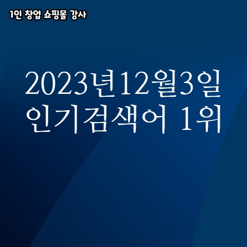 2023년 12월 3일 네이버쇼핑 분야별 인기 검색어 1위