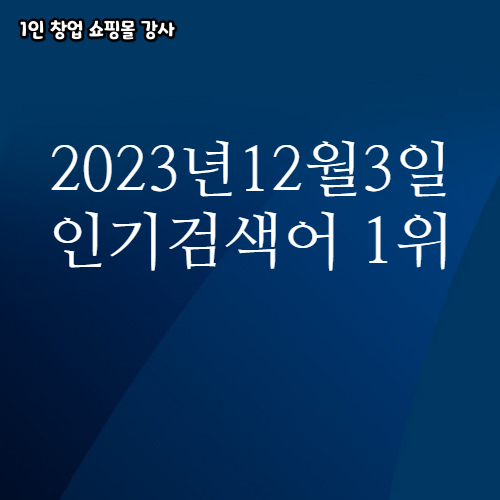  2023년 12월 3일 네이버쇼핑 분야별 인기 검색어 1위